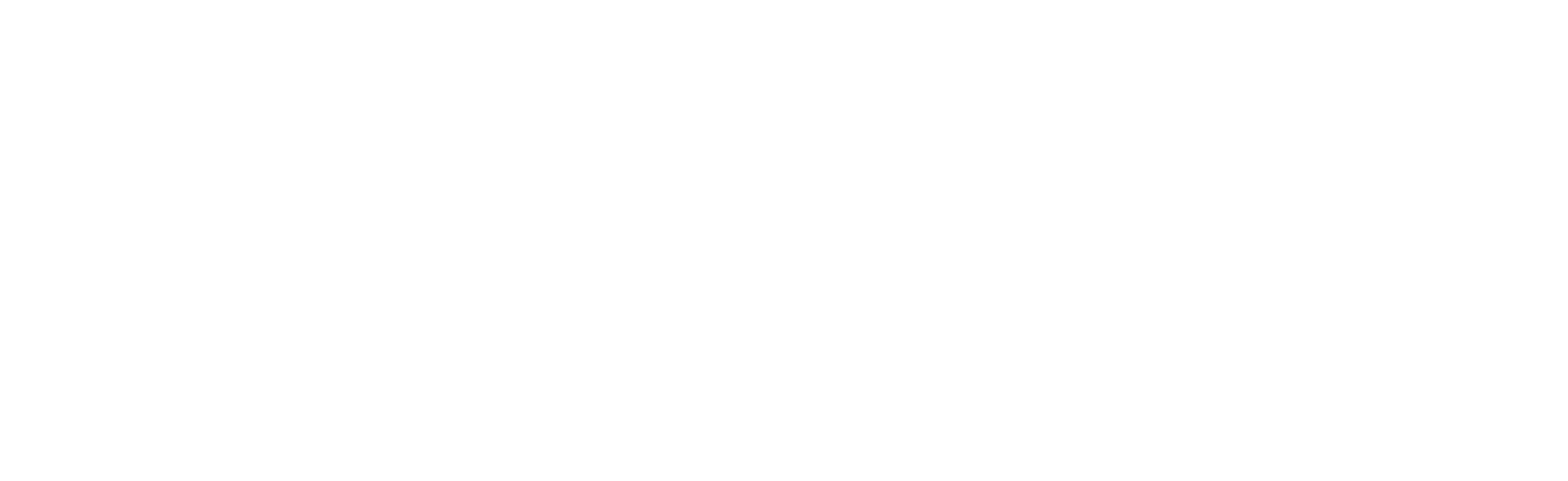 Rajasthan Marbles Logo white
